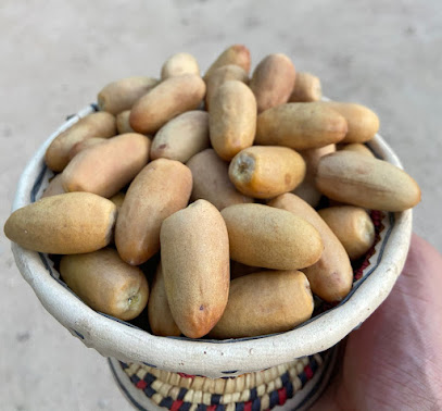 تمور نجران مزرعة محمد الديك - Najran - +966 50 679 2446