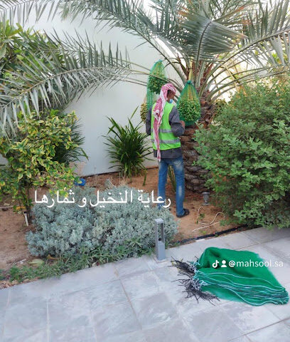 محصول للخدمات الزراعيه - Mahsool - Dammam - +966 55 577 2172
