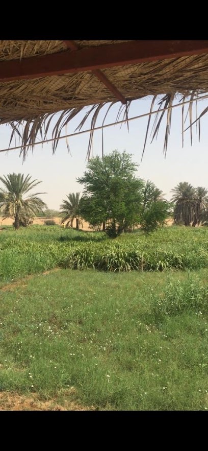 مزرعة حميد المستادي - Saudi Arabia|Rabigh 25729|6790