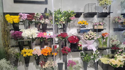 Flower Shadows - Riyadh - +966 53 758 5859