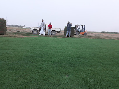 مزرعه ابراهيم الحسن العثمان - Ad Dilam - +966 55 697 7872