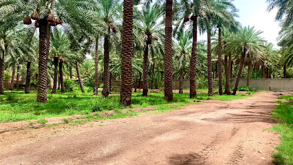 Samhan Farm - Riyadh -