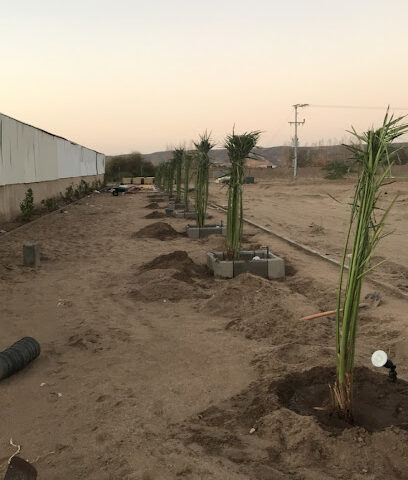 مزرعة المستشار احمد قاضي - Haddat ash Sham - +966 50 450 1519