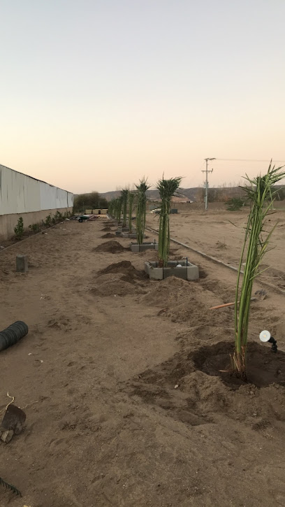 مزرعة المستشار احمد قاضي - Saudi Arabia|Haddat ash Sham 25352|Unnamed Road 25352 مكة المكرمة