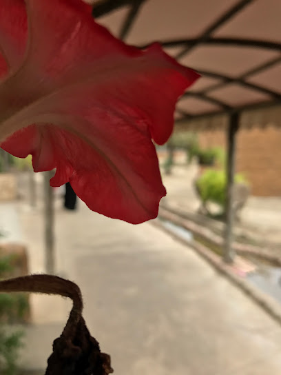 مزرعه العبلان - Saudi Arabia|Ad Dilam 16231،|8403، 3129،