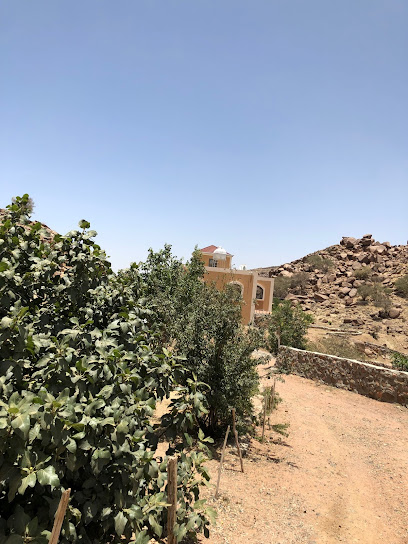 الشيخ/عبدالله بن رداد - Saudi Arabia|Taif|Unnamed Road|5CWJ+X5V