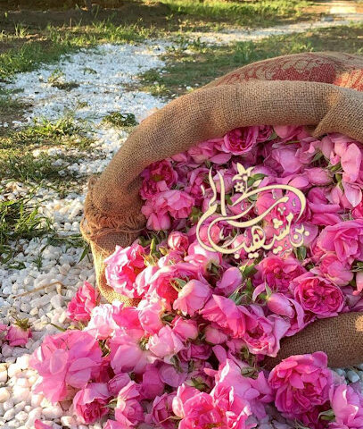 معمل سالم بن مشيهيب للورد الطائفي - Taif - +966 56 982 4799