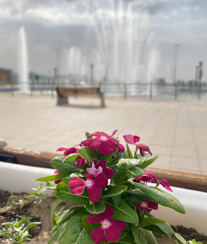 النافورة الراقصة - Najran -