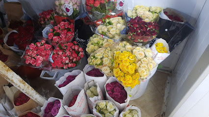 ازهار النجوم - Jeddah -