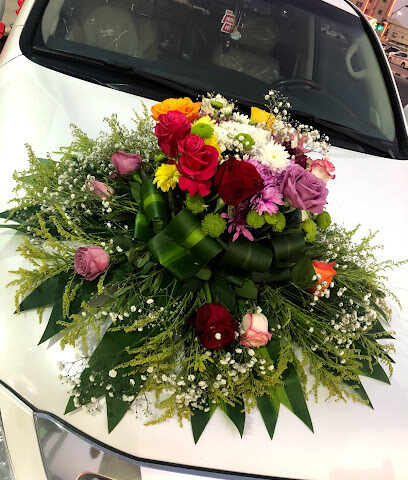 بوفارديا - Dammam - +966 50 700 0873