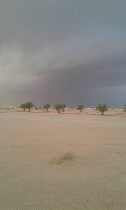 مزرعة الرميح - Saudi Arabia|Ar Rass 58853|Alhazm|RGXH+XVM