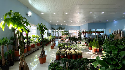 Nowara Farm Nursery -  - +966 11 551 2599