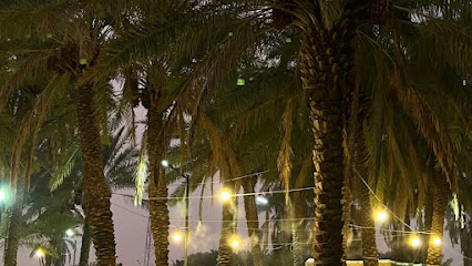 مزرعة العاذرية - Bisha - +966 55 826 8572