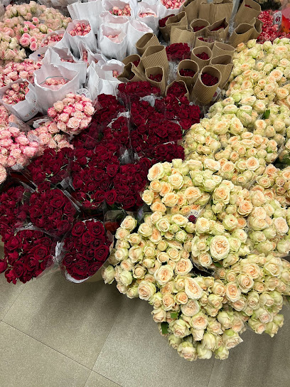 بلوم ان | Bloom inn - Saudi Arabia|Riyadh 12282|Al Muruj