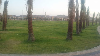 Park north of Qara - Sakaka -