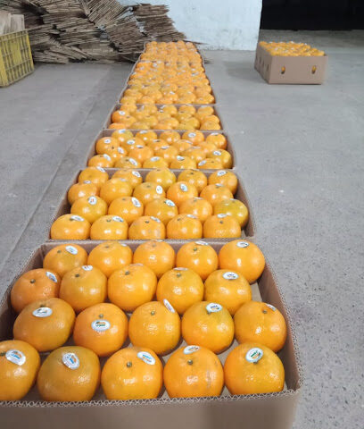 Salwa Trading corporation - Dammam - +966 59 214 9662