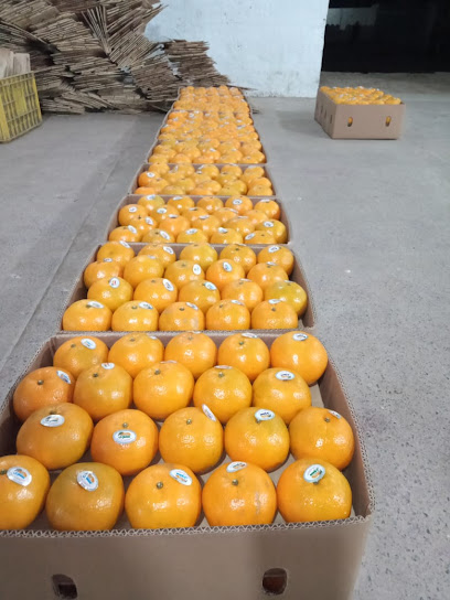Salwa Trading corporation - Saudi Arabia|Dammam 32425|Al Khalij