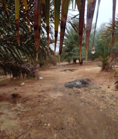 مزرعة الرحبة - Uyun Al Jawa -