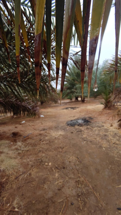 مزرعة الرحبة - Saudi Arabia|Uyun Al Jawa 52907|9HRC+X8