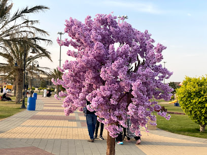 Million's Garden - Abha -