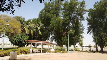 حديقة البدر - Yanbu -