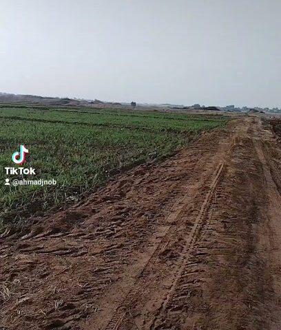 مزرعة حمد عراج مجربي - Al Sehi -