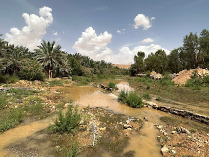 Fahad Algobs Farm - Az Zulfi -