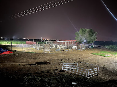 مزرعة عبدالله جابر شراحيلي - Ummal Noor Village -