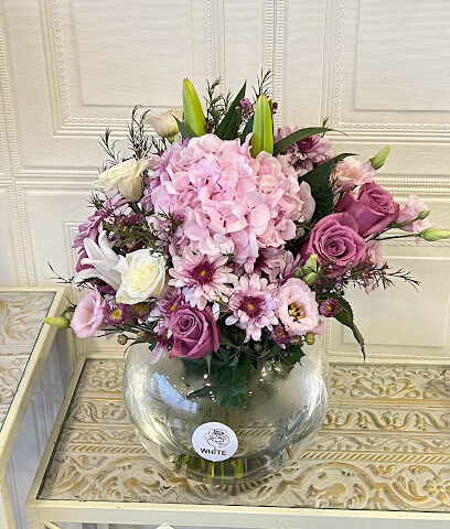 الورود البيضاء للزهور - Jeddah - +966 59 188 8877