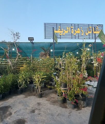 مشاتل زهرة الريف - الجبيل -