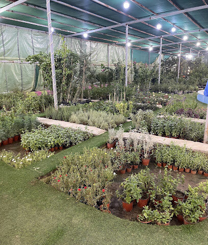 شركة الورد والصحراء - Abha -