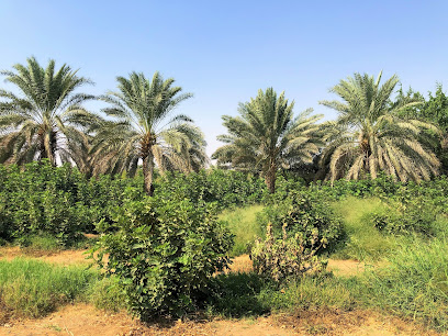 Ranco Farm - Riyadh -