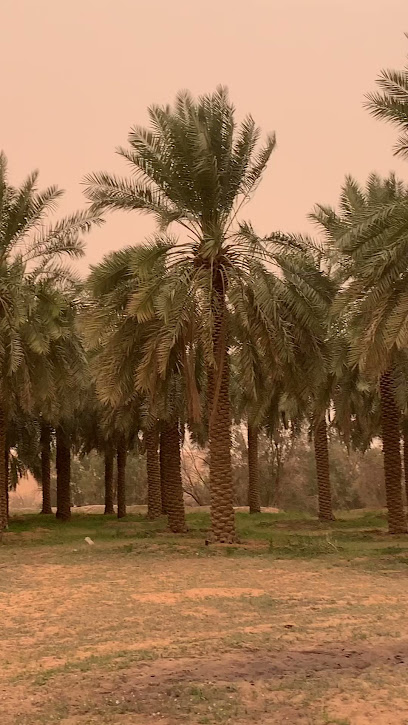 مزرعة محمد الصالح المحسن - Saudi Arabia|Buraydah 52518|2931، 8965|Khubrudan