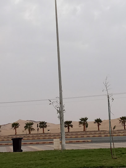 ممشى وحديقة المدخل الشمالي - Saudi Arabia|Badr 46351|RP7V+P7G