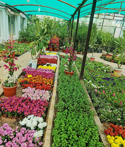 مشتل الجزيرة الخضراء - Hafar Al Batin - +966 56 189 5787