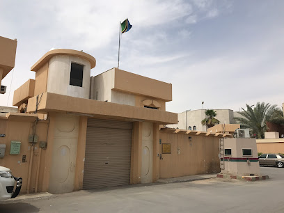 Embassy of Tanzania - Riyadh - +966 11 205 0310