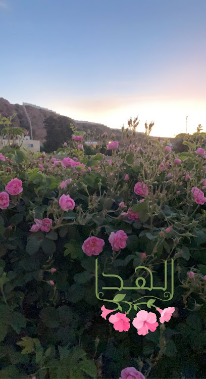 مصنع ومعمل الشيخ - Saudi Arabia|Taif 26582|983H+PQP