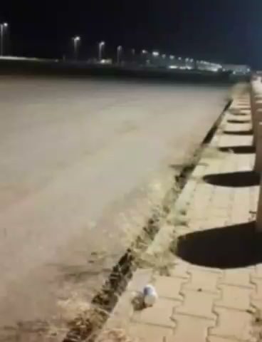 حديقة ابو السداد - Ad Darb -