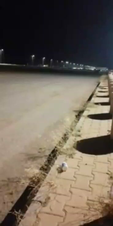 حديقة ابو السداد - Saudi Arabia|Ad Darb|ابو السداد،|P6HJ+FXQ