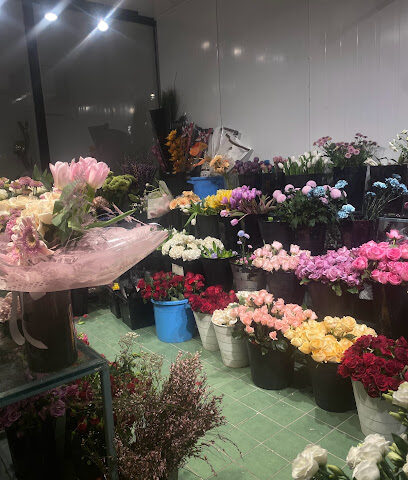 Zohour Al-Orchid - Hail - +966 55 721 3179