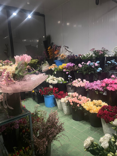 Zohour Al-Orchid - Saudi Arabia|Hail 55431|An Nuqrah|طريق الملك فهد بن عبدالعزيز،