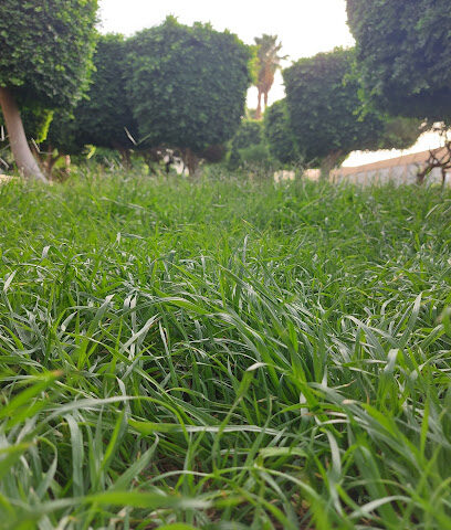 حديقة السحيلي 2 - Taif -