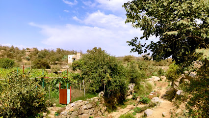 عبدالله سحابي - Baljurashi -
