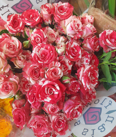 أزهار الجنوب للورود الطبيعيه - Sabya - +966 55 864 3364