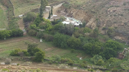 مزرعة شعب المقيلي - Al Bahah - +966 55 148 8877