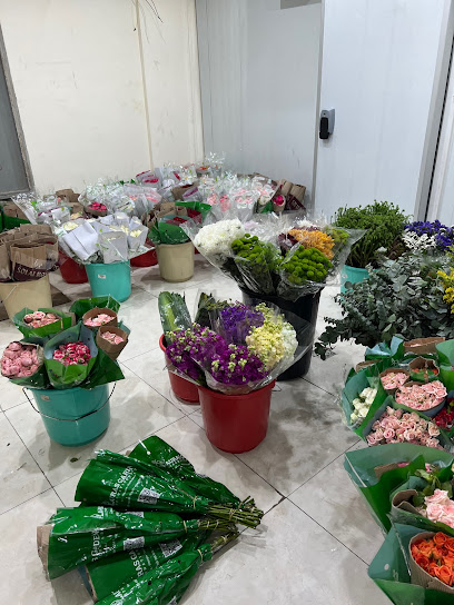 My Flower - Saudi Arabia|5019 الملك خالد، غرناطة، الدمام 32245 8343،