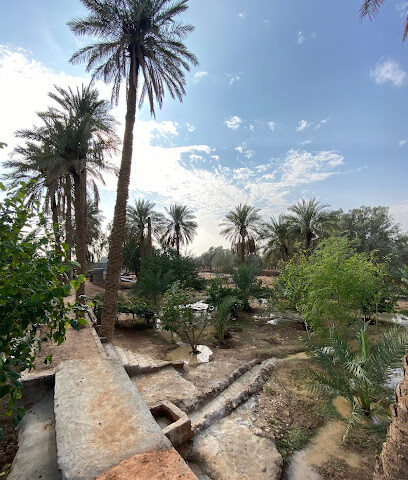 مزرعة متعب عبدالرحمن الجبلي - Al Artawiyah -