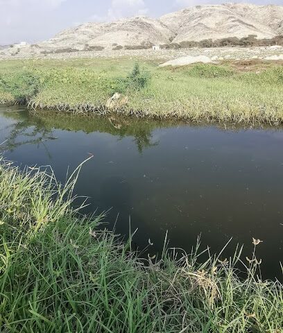 وادي الغاسة - بارق -