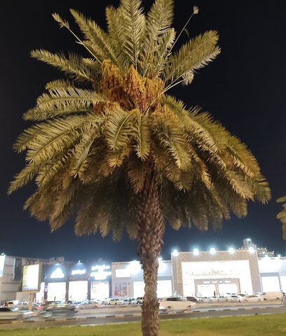 حديقة سوق القوافل - Mecca -