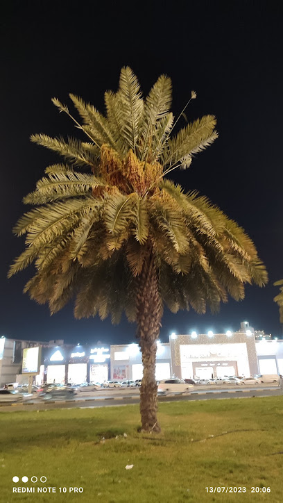 حديقة سوق القوافل - Saudi Arabia|Mecca 24351،|9RC3+J82، شارع الدكتور عبدالقادر كوشك، الشوقية،